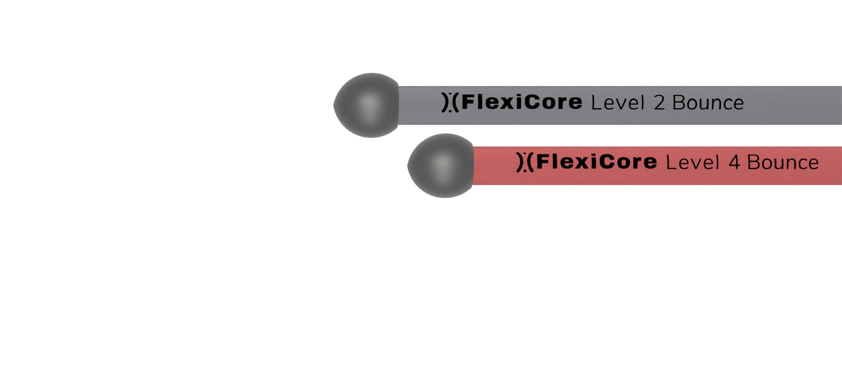 FlexiCore Technology